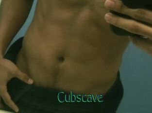 Cubscave