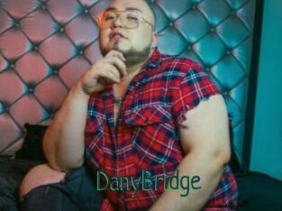 DanyBridge
