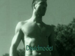 Davidmodel