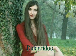 Didgeridoo