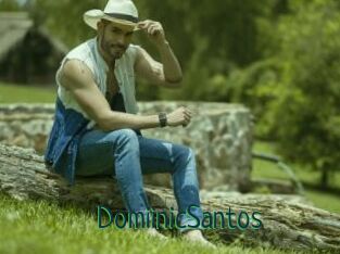 DomiinicSantos