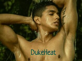 DukeHeat