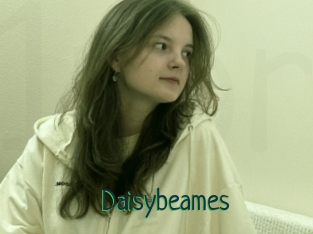 Daisybeames