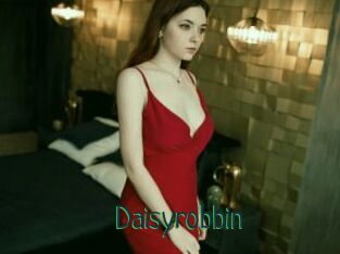 Daisyrobbin