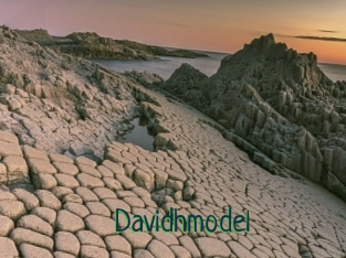 Davidhmodel