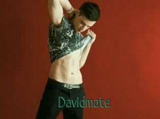 Davidmate
