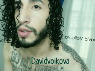 Davidvolkova