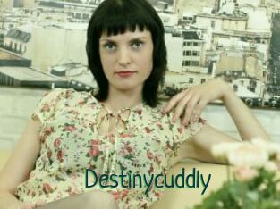 Destinycuddly