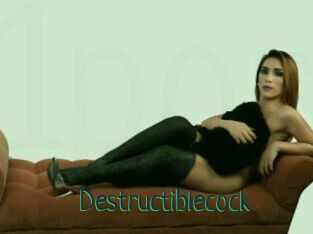 Destructiblecock