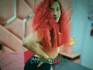Divhacarrillo