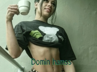 Domin_hamss