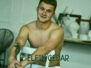 ELFIN_CEDAR