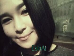 EsinAi