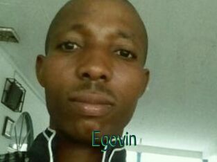 Egovin