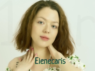 Elenecaris