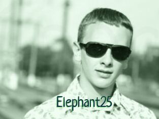 Elephant25