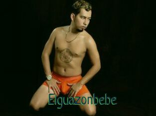 Elguazonbebe