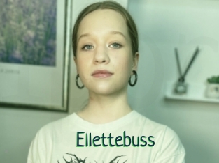 Ellettebuss