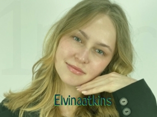 Elvinaatkins