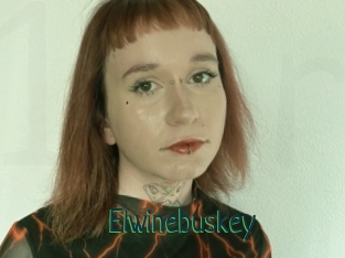 Elwinebuskey