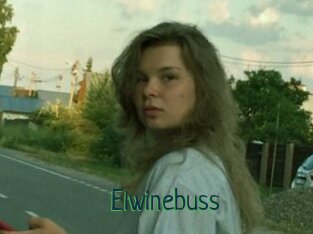 Elwinebuss