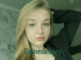 Elwinedanbury