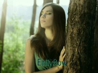 Emilyflow