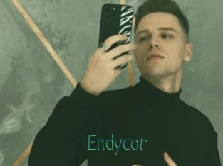 Endycor