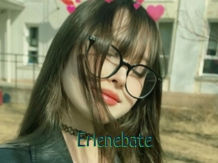 Erlenebate