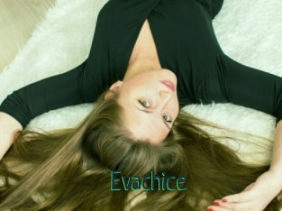 Evachice