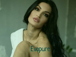 Evapure