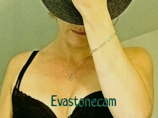Evastonecam