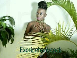 Exoticebonycock
