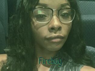 Firebug