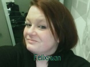 Felixswan