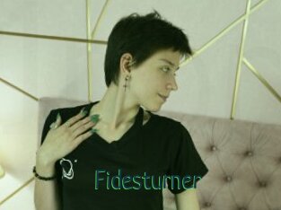 Fidesturner