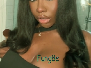 Fung8e