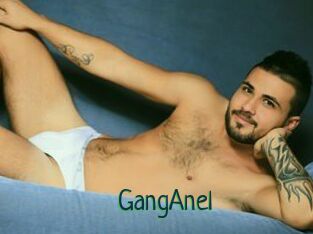 GangAnel