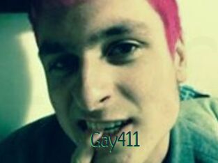 Gay411