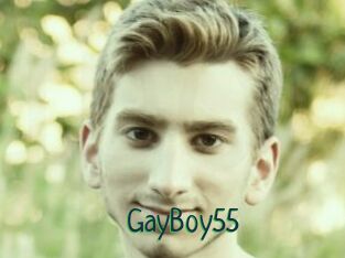 GayBoy55