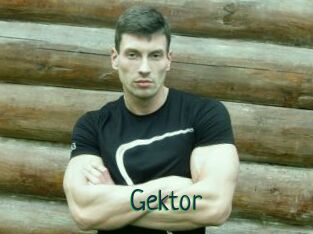 Gektor