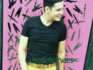 GonzaloNarvaes