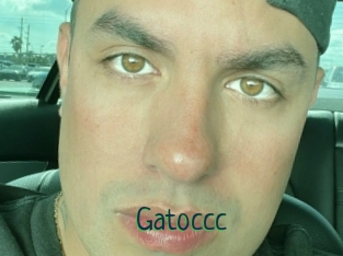 Gatoccc