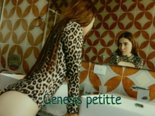 Genesis_petitte
