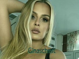 Ginaschmit
