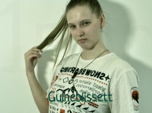 Gulneblissett