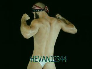 HEVAN12344