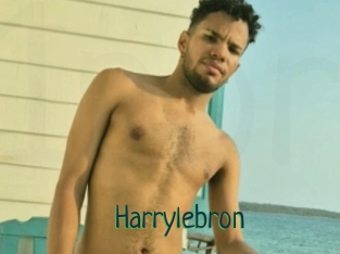 Harrylebron