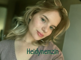 Heidynemzin