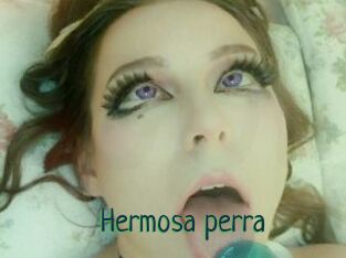 Hermosa_perra